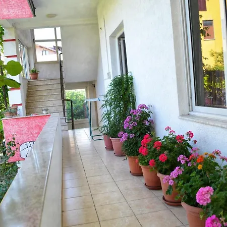 Paradise Apartman *